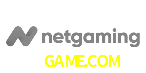 NetGaming
